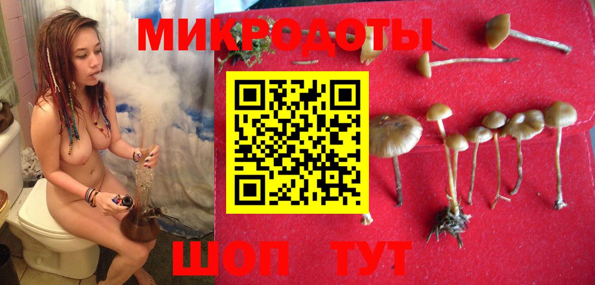 Тейково  где купить наркоту  Вход с VPN  Псилоцибиновые грибы мухоморы  Псилоцибиновые грибы мухоморы 