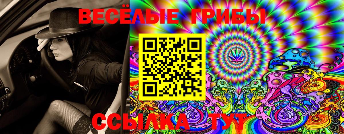 Галлюциногенные грибы MAGIC MUSHROOMS Тейково